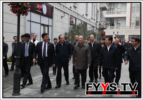 李岚清同志视察楚河汉街(图6)