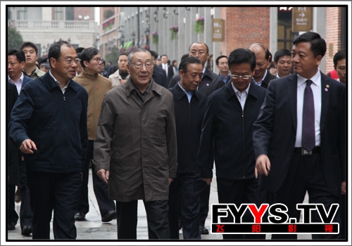 李岚清同志视察楚河汉街(图9)
