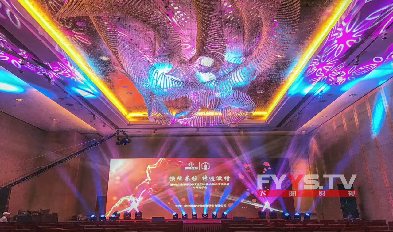 璀璨弦音首届欧中文化艺术协会学术交流会暨大师音乐会(图10) 璀璨弦音首届欧中文化艺术协会学术交流会暨大师音乐会(图10)