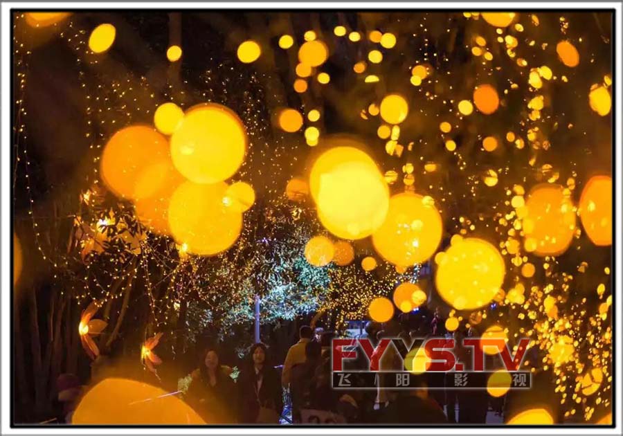 2018东湖元宵灯会 武汉庆典活动拍摄直播(图4)