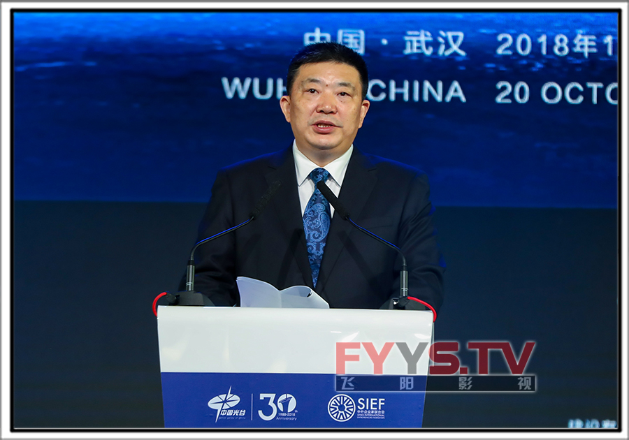 2018中外企业家光谷峰会(图6) 45615461456.jpg