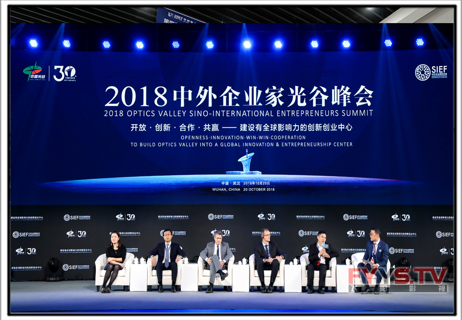 2018中外企业家光谷峰会(图10) 6541541546154678.jpg