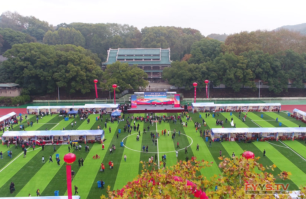 武汉大学第十四届珞珈金秋国际文化节(图1) 飞机三.jpg